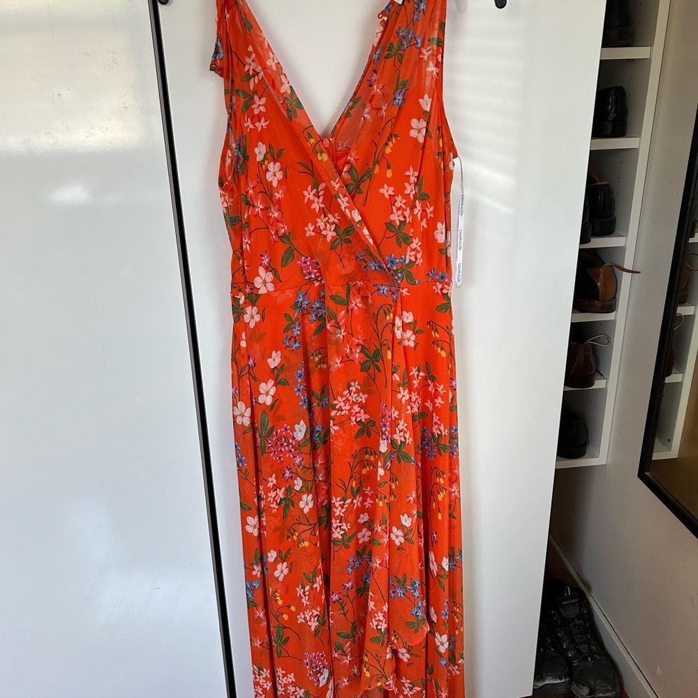 Calvin Klein Orange and Pink Maxi Dress